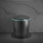 Luxury Smart Toilet with Integrated Bidet Seat