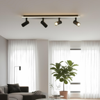 Multiple Spot Ceiling Light Contemporary Home Lighting