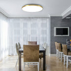 Modern Round LED Flush Ceiling Light for Hallway & Living Spaces Contemporary Home Lighting