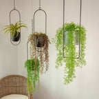 Modern Hanging Plant Pot