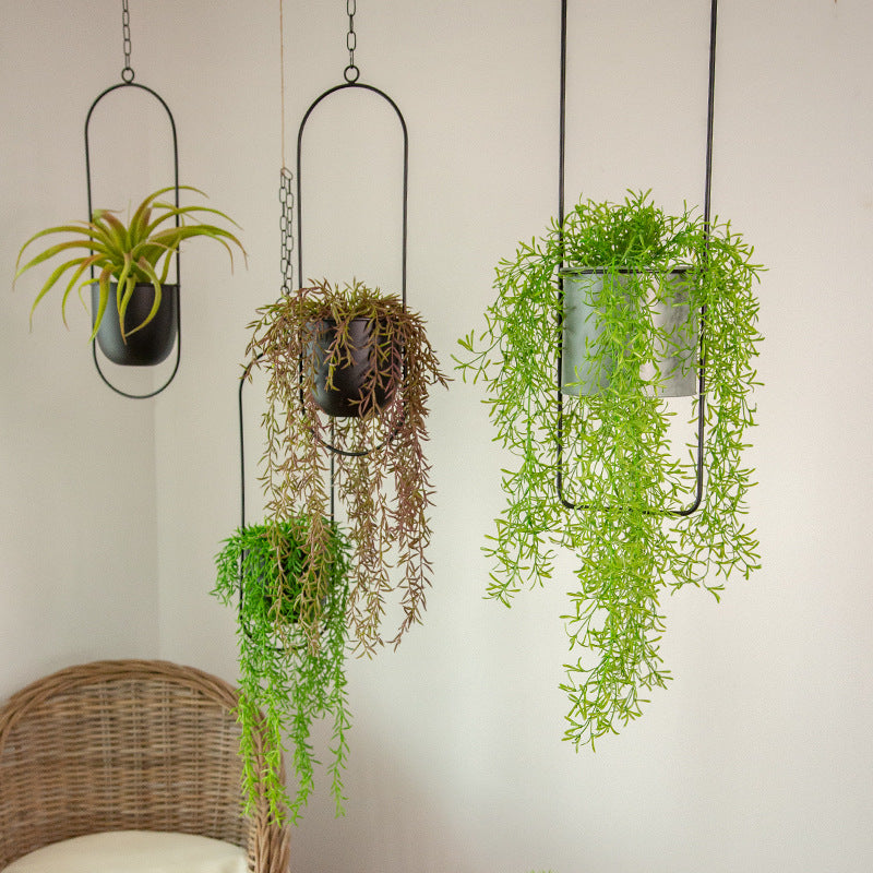 Modern Hanging Plant Pot