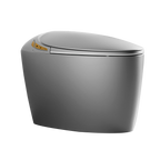 Luxury Smart Toilet with Integrated Bidet Seat