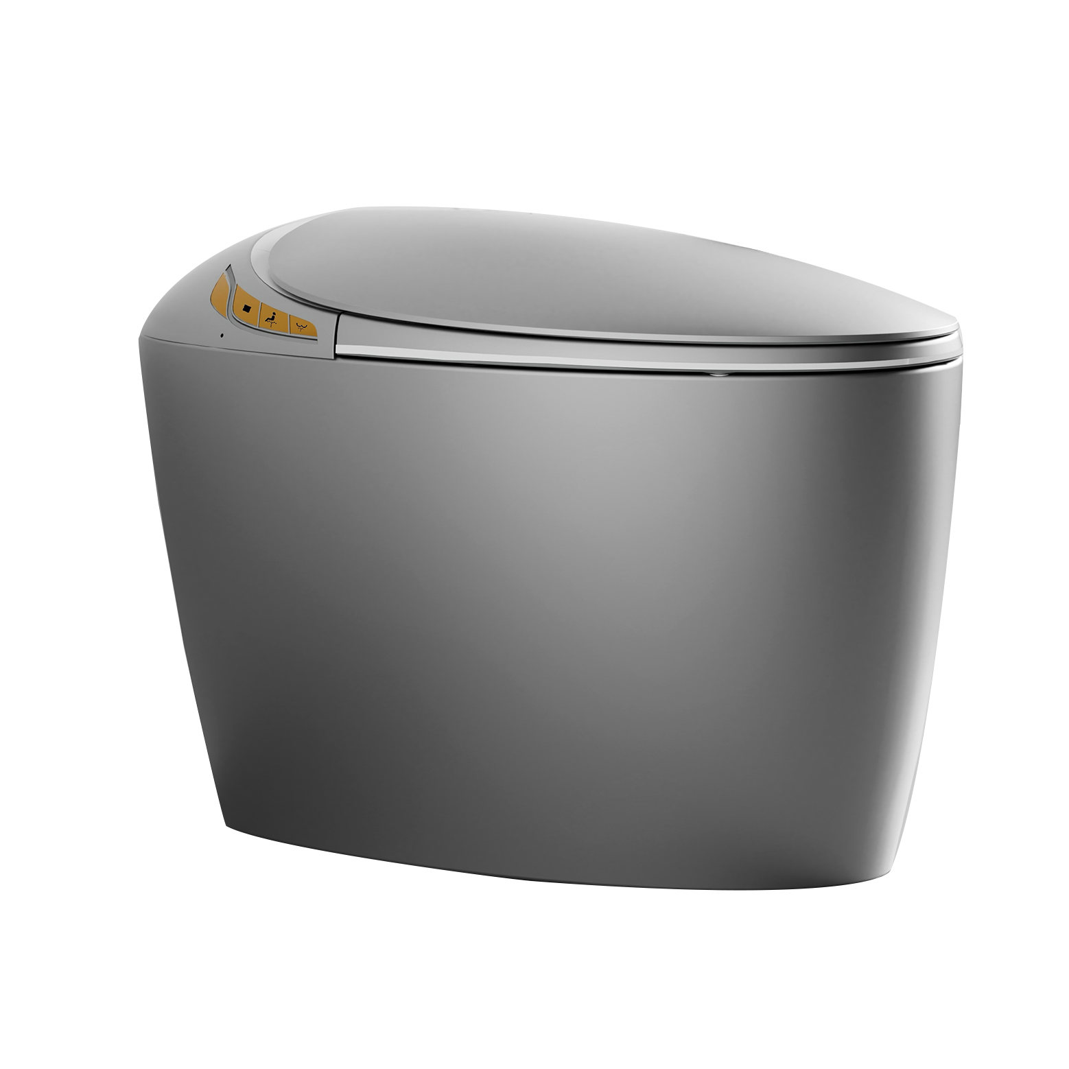 Luxury Smart Toilet with Integrated Bidet Seat