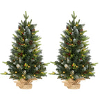 Set of 2 3ft Pre-Lit Tabletop Christmas Trees with LED Lights