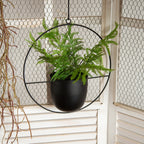 Modern Hanging Plant Pot