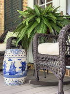 48-Inch Boston Fern Plant Set