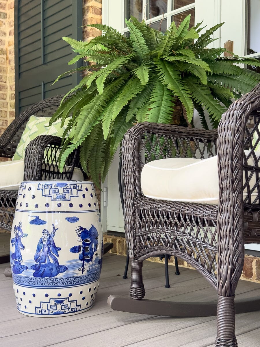 48-Inch Boston Fern Plant Set
