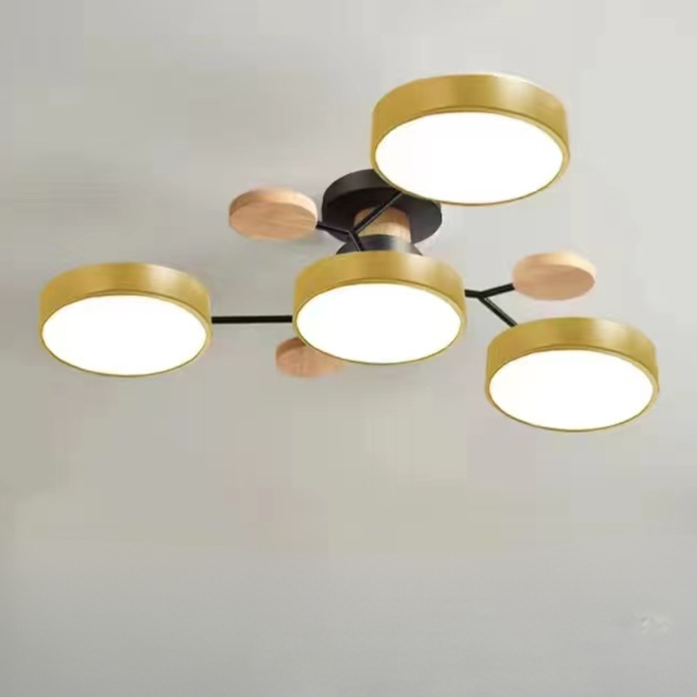 Ceiling Light Modern LED Flush Mount Chandelier Contemporary Home Lighting