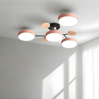 Ceiling Light Modern LED Flush Mount Chandelier Contemporary Home Lighting