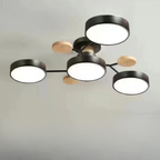 Ceiling Light Modern LED Flush Mount Chandelier Contemporary Home Lighting