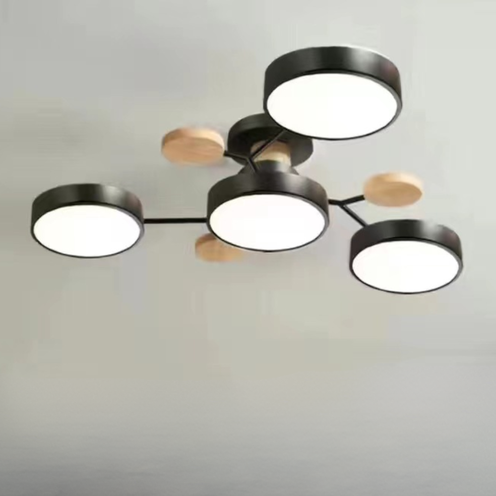 Ceiling Light Modern LED Flush Mount Chandelier Contemporary Home Lighting