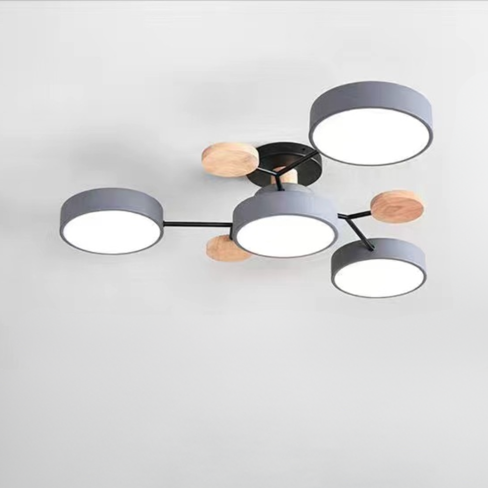 Ceiling Light Modern LED Flush Mount Chandelier Contemporary Home Lighting