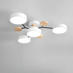 Ceiling Light Modern LED Flush Mount Chandelier Contemporary Home Lighting