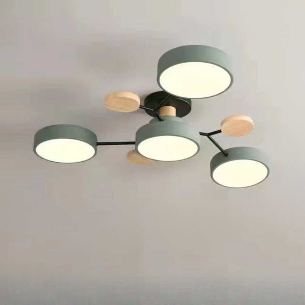 Ceiling Light Modern LED Flush Mount Chandelier Contemporary Home Lighting