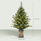 Set of 2 4ft Pre-Lit Artificial Christmas Trees with Vintage Pots