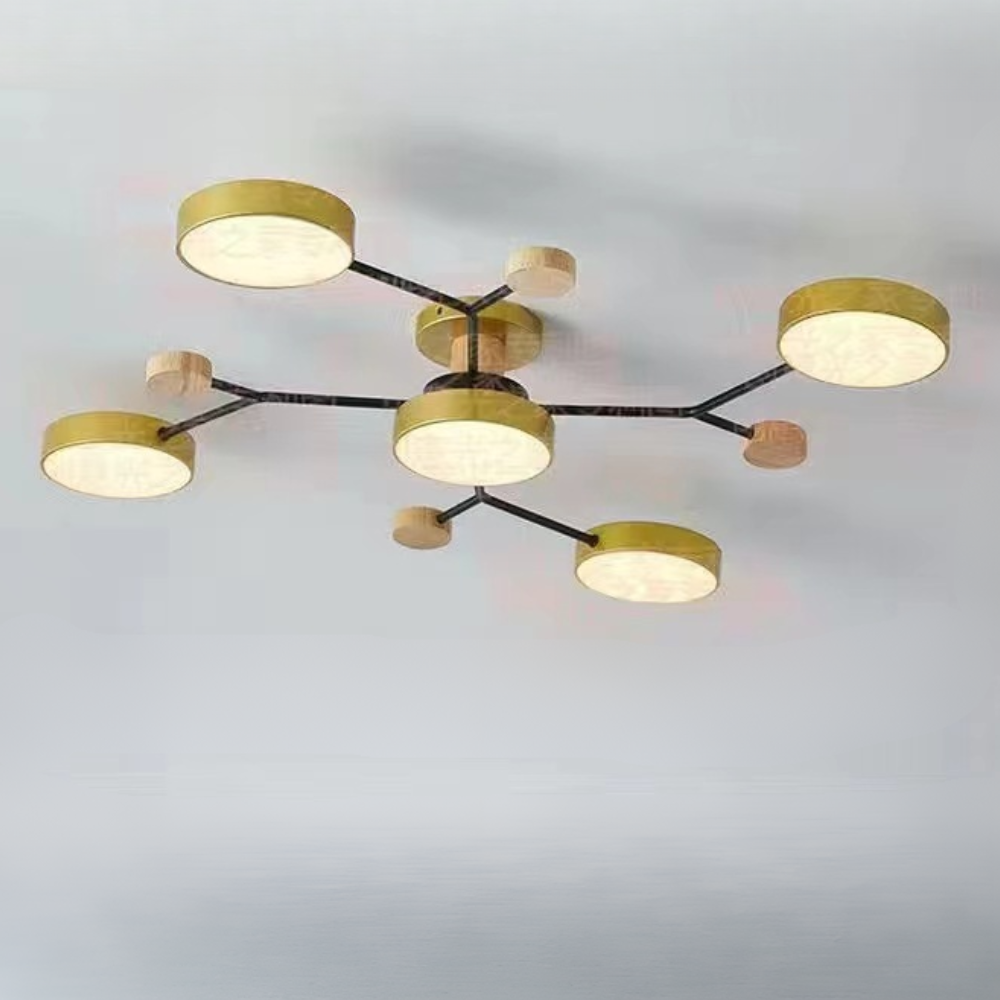 Ceiling Light Modern LED Flush Mount Chandelier Contemporary Home Lighting