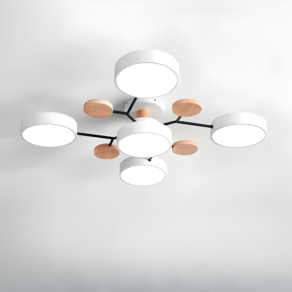 Ceiling Light Modern LED Flush Mount Chandelier Contemporary Home Lighting