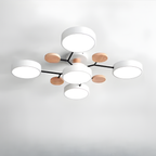 Ceiling Light Modern LED Flush Mount Chandelier Contemporary Home Lighting