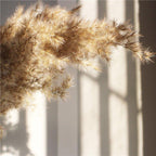 Natural Dried Pampas Grass Bouquet