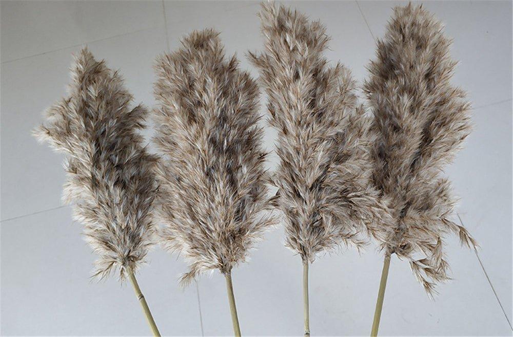 Natural Dried Pampas Grass Bouquet