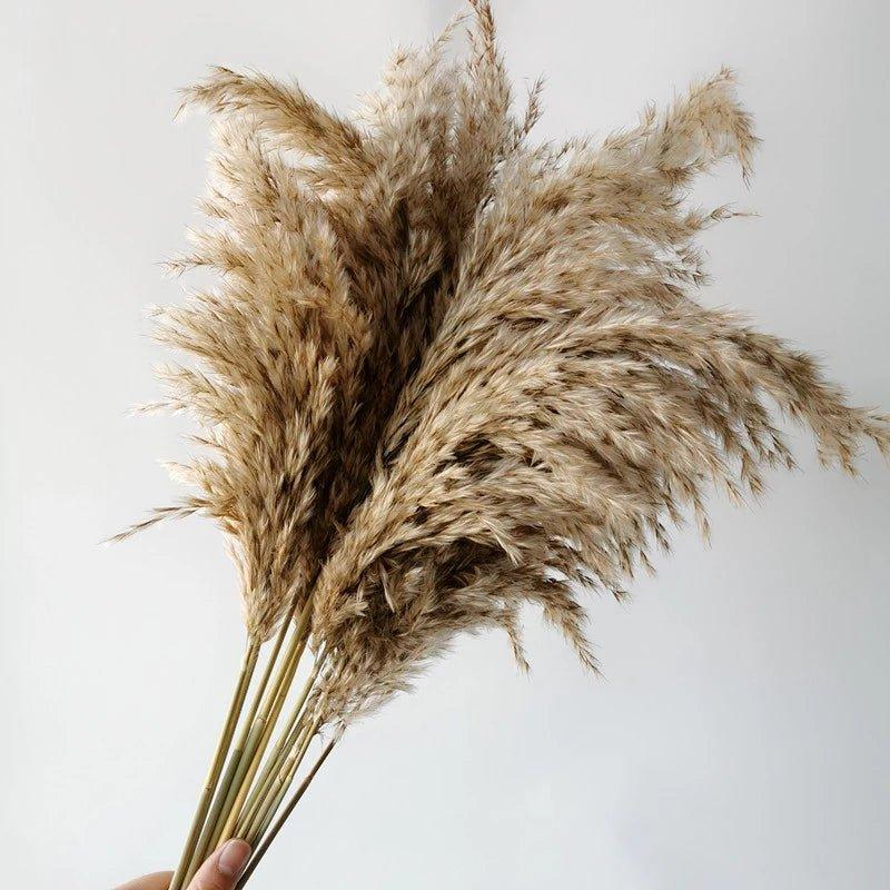 Natural Dried Pampas Grass Bouquet