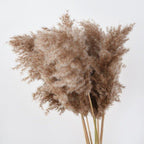 Natural Dried Pampas Grass Bouquet