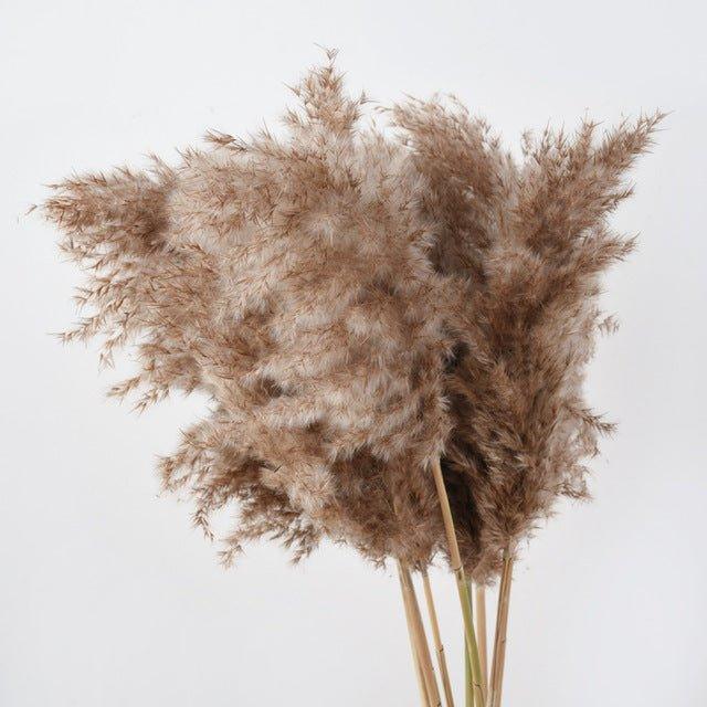 Natural Dried Pampas Grass Bouquet