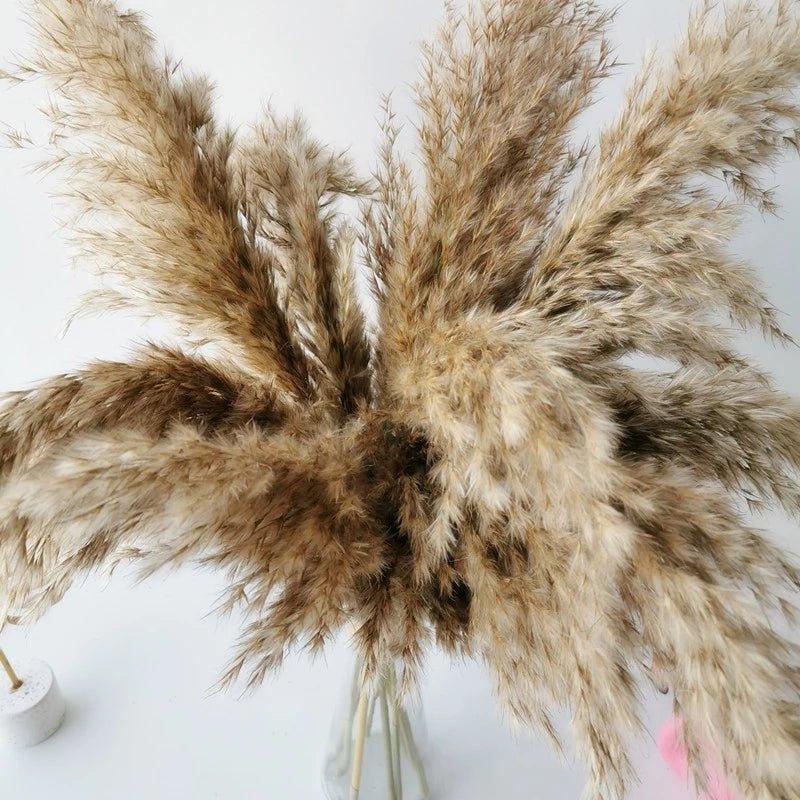 Natural Dried Pampas Grass Bouquet