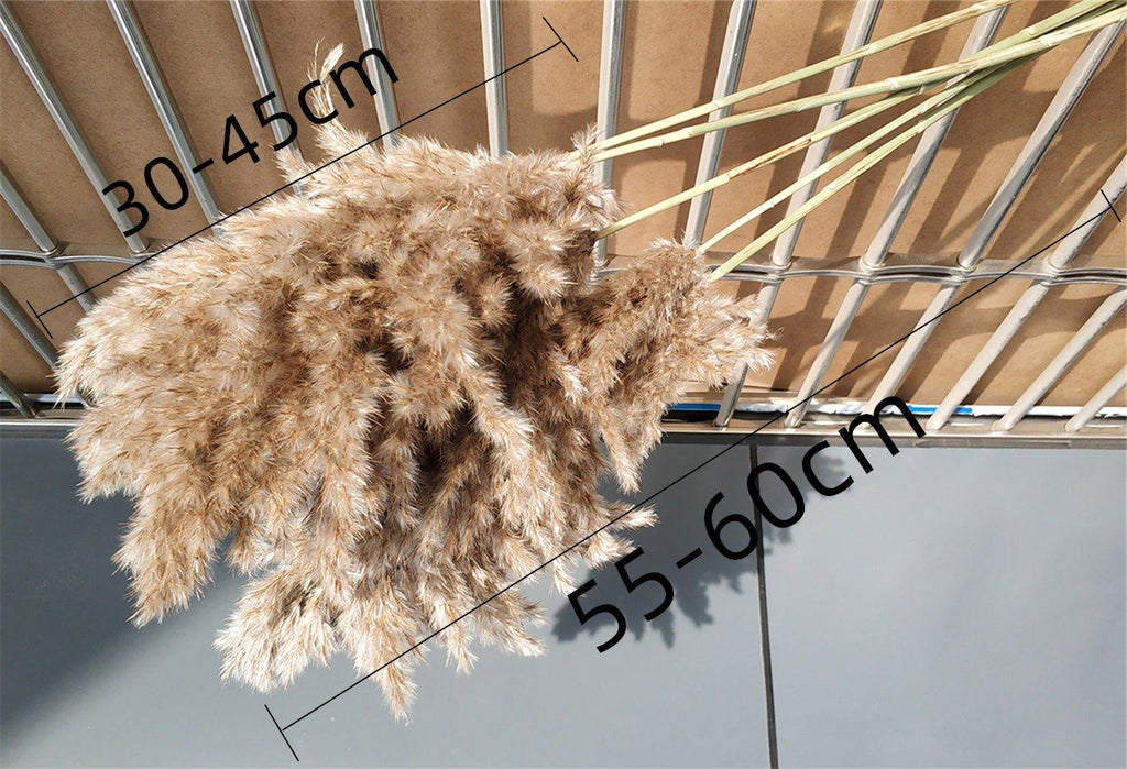 Natural Dried Pampas Grass Bouquet