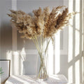 Natural Dried Pampas Grass Bouquet