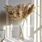 Natural Dried Pampas Grass Bouquet