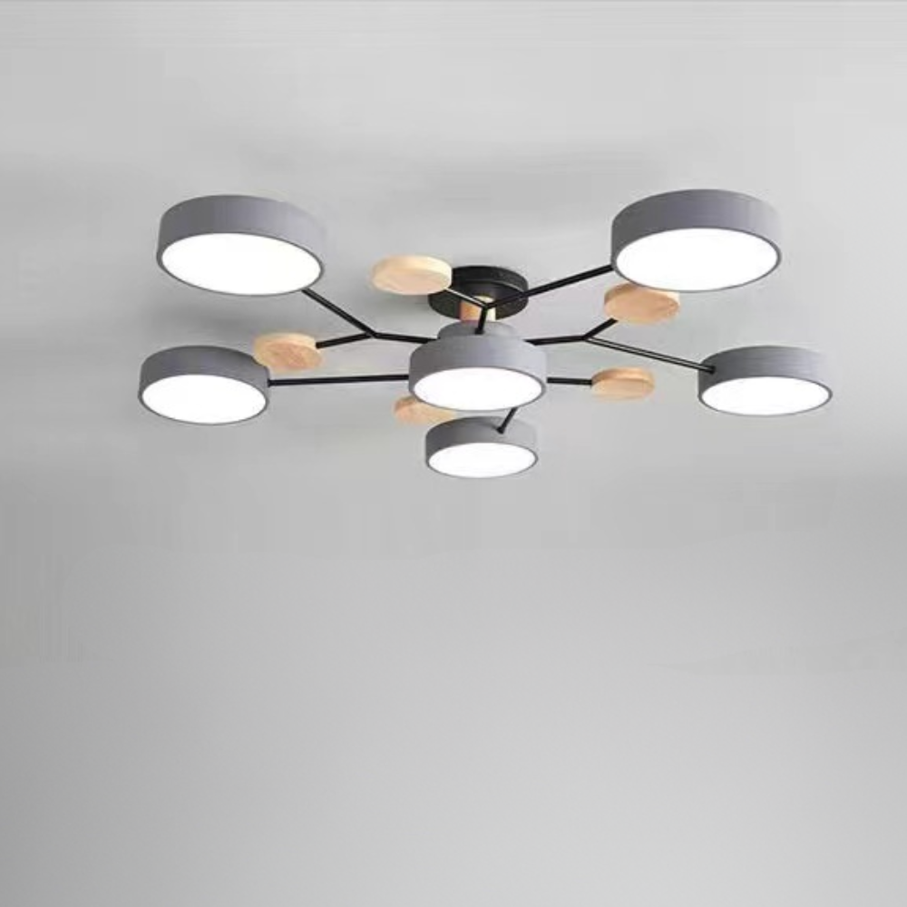 Ceiling Light Modern LED Flush Mount Chandelier Contemporary Home Lighting