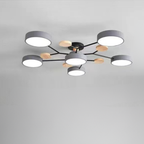 Ceiling Light Modern LED Flush Mount Chandelier Contemporary Home Lighting