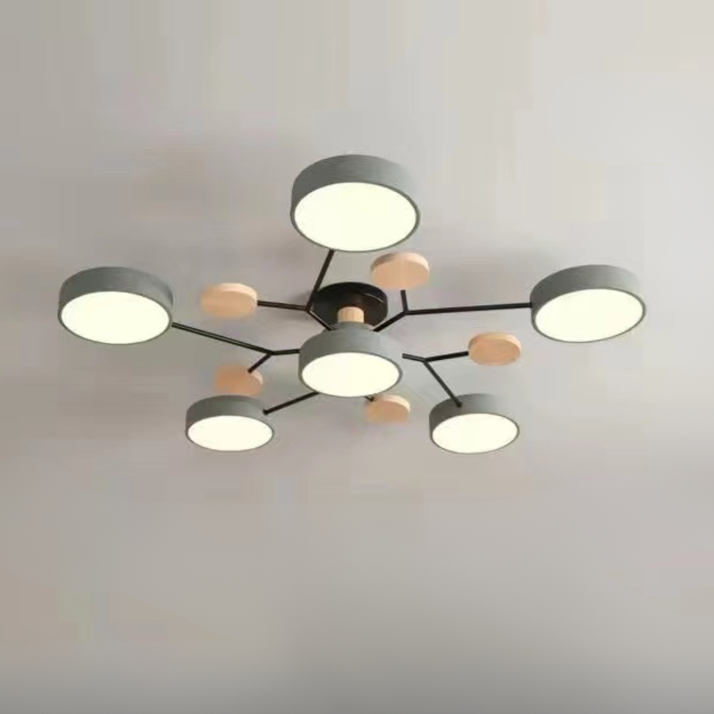 Ceiling Light Modern LED Flush Mount Chandelier Contemporary Home Lighting