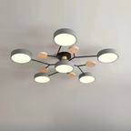 Ceiling Light Modern LED Flush Mount Chandelier Contemporary Home Lighting