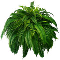 UV-Resistant Artificial Boston Fern
