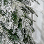 6ft Pencil Snow Flocked Christmas Tree with Downswept Branches