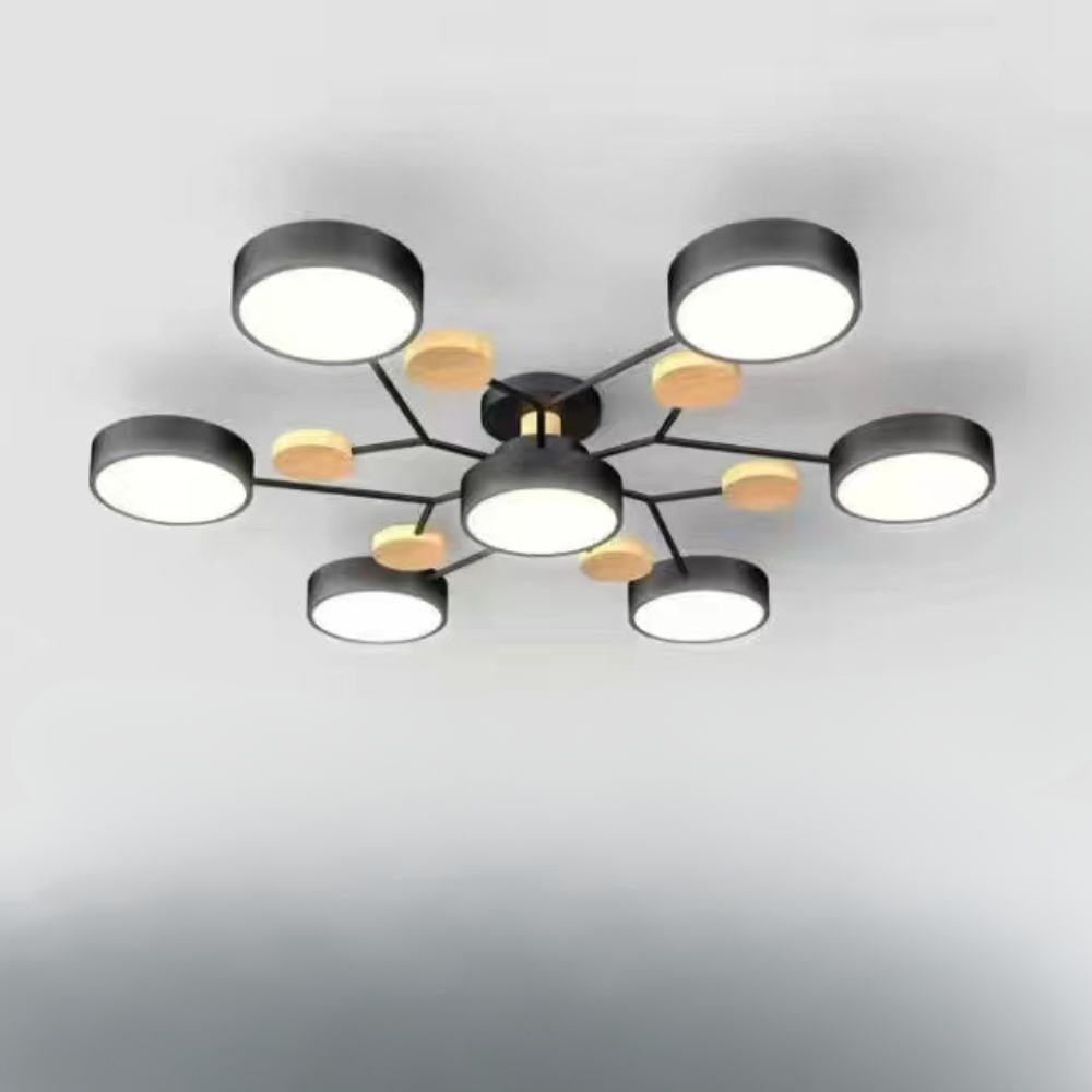 Ceiling Light Modern LED Flush Mount Chandelier Contemporary Home Lighting