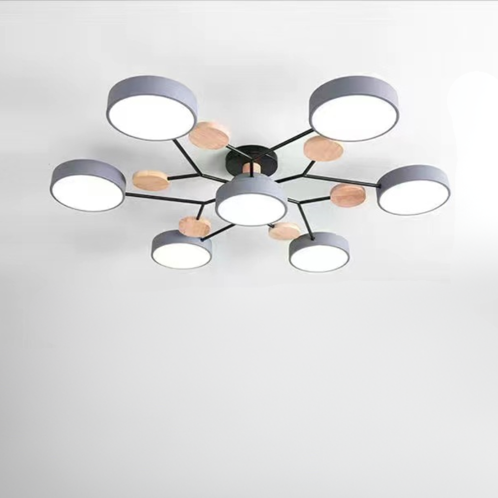 Ceiling Light Modern LED Flush Mount Chandelier Contemporary Home Lighting