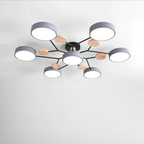 Ceiling Light Modern LED Flush Mount Chandelier Contemporary Home Lighting