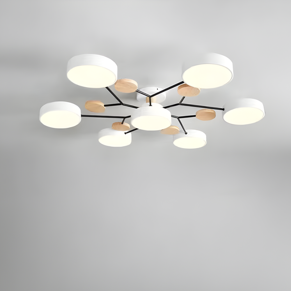 Ceiling Light Modern LED Flush Mount Chandelier Contemporary Home Lighting
