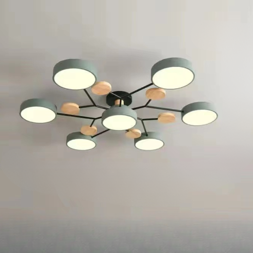 Ceiling Light Modern LED Flush Mount Chandelier Contemporary Home Lighting