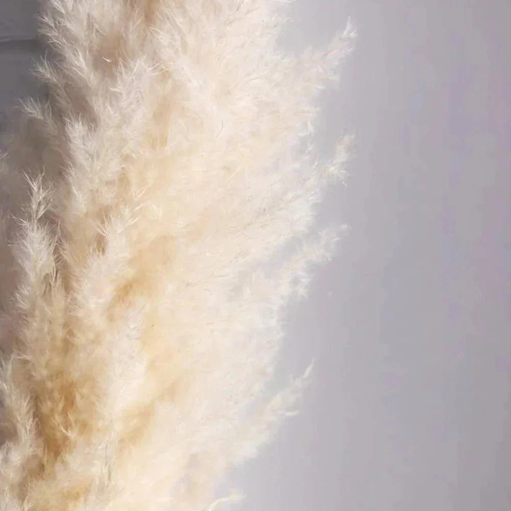 Soft Natural Dried Pampas Grass Bouquet