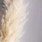 Soft Natural Dried Pampas Grass Bouquet