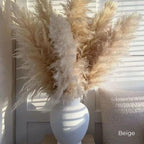 Soft Natural Dried Pampas Grass Bouquet