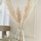 Soft Natural Dried Pampas Grass Bouquet