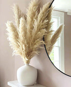 Soft Natural Dried Pampas Grass Bouquet