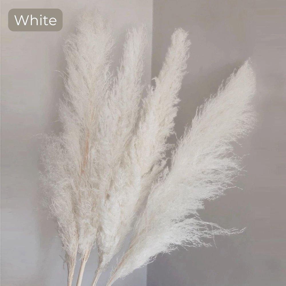 Soft Natural Dried Pampas Grass Bouquet