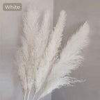 Soft Natural Dried Pampas Grass Bouquet