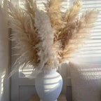 Soft Natural Dried Pampas Grass Bouquet